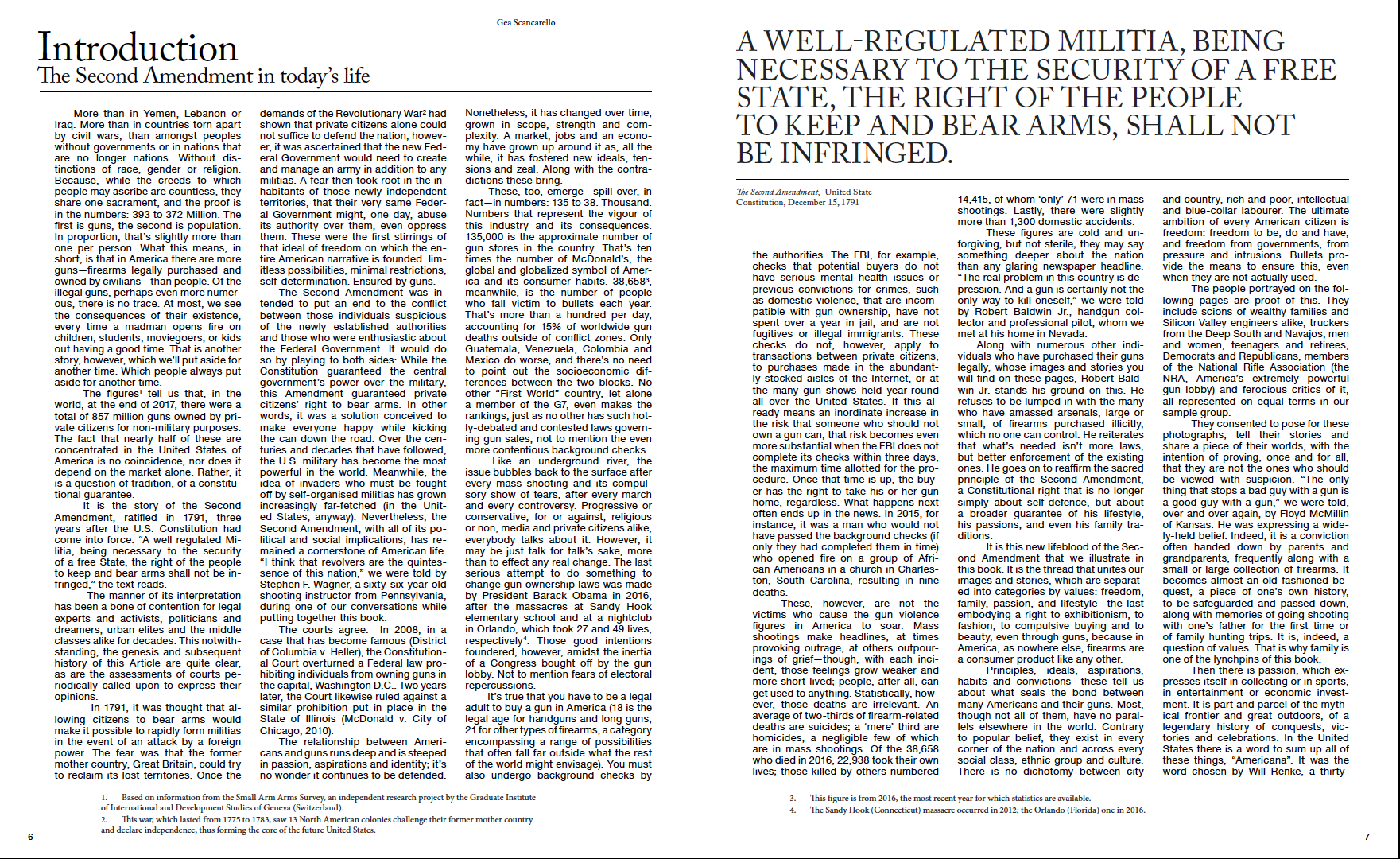 The Ameriguns (Soft Cover)