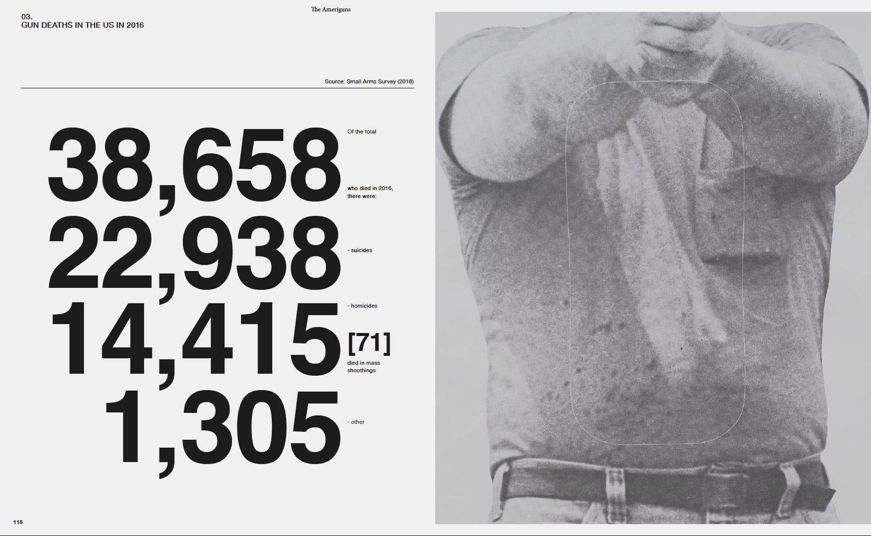 The Ameriguns (Soft Cover)