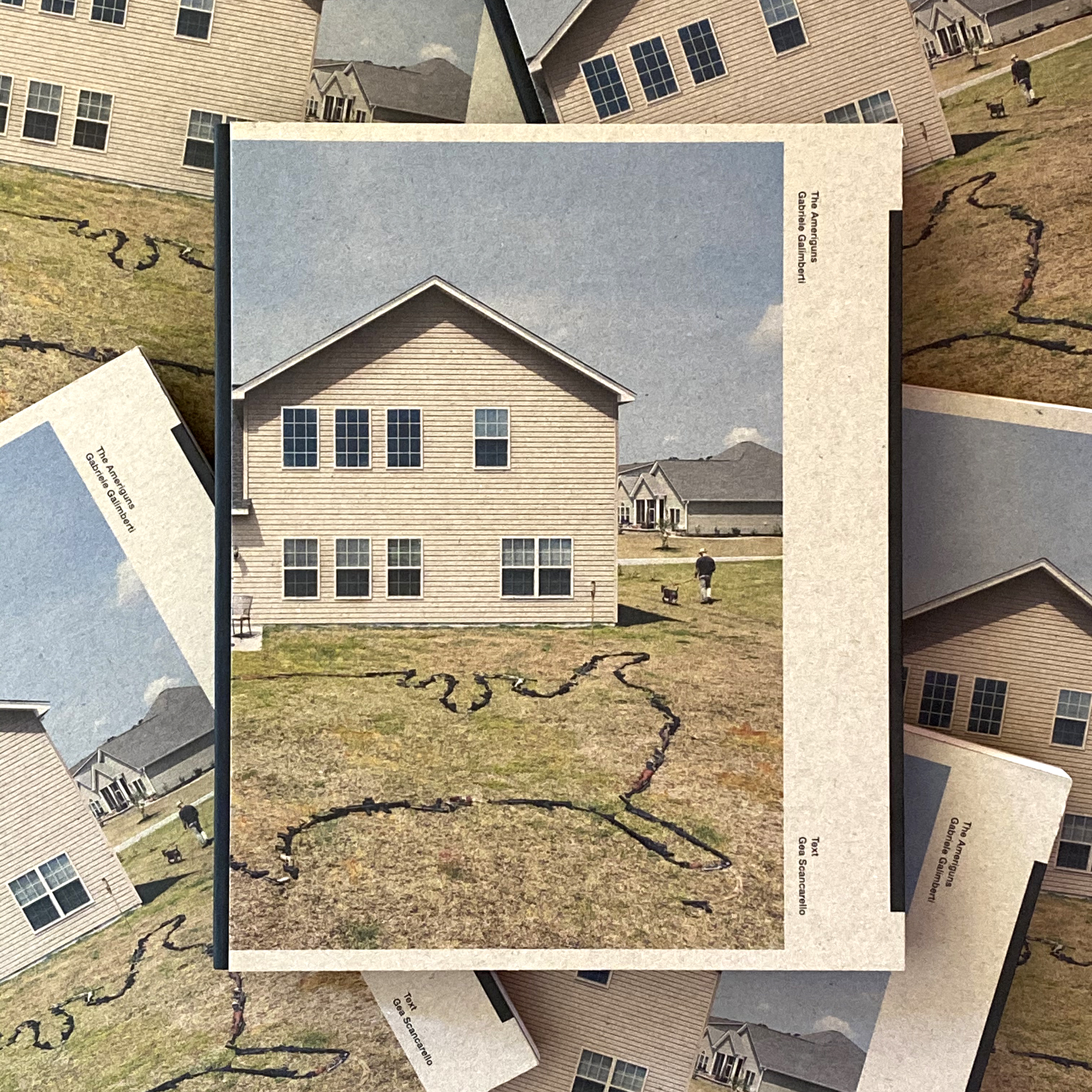 The Ameriguns (hard cover)